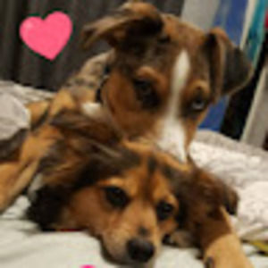 Meet your Posher, Tina